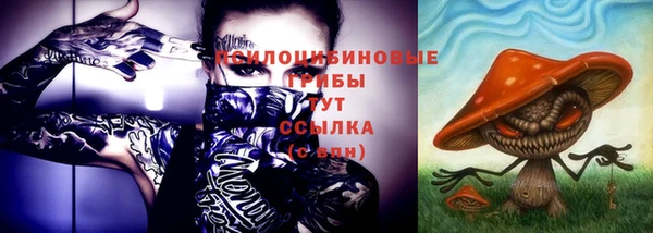 спиды Наволоки